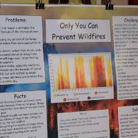 Poster on wildfires